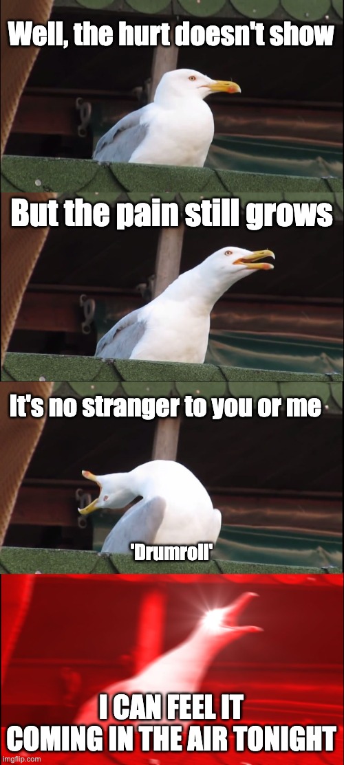 Collins | Well, the hurt doesn't show; But the pain still grows; It's no stranger to you or me; 'Drumroll'; I CAN FEEL IT COMING IN THE AIR TONIGHT | image tagged in memes,inhaling seagull,phil collins | made w/ Imgflip meme maker