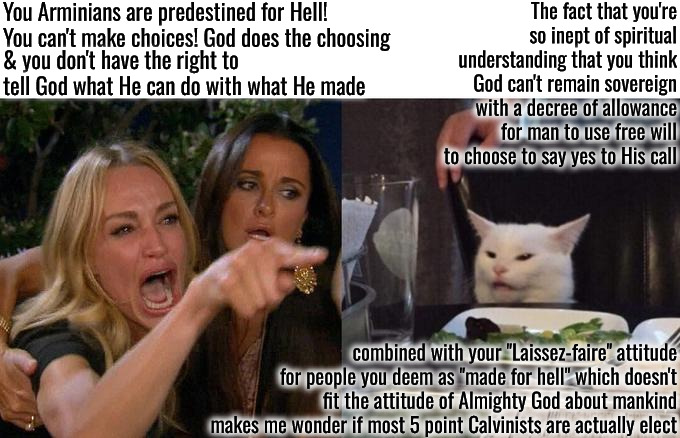 5 Point Laissez-faire Attitude | You Arminians are predestined for Hell! You can't make choices! God does the choosing; The fact that you're so inept of spiritual understanding that you think God can't remain sovereign with a decree of allowance for man to use free will to choose to say yes to His call; & you don't have the right to tell God what He can do with what He made; combined with your "Laissez-faire" attitude for people you deem as "made for hell" which doesn't fit the attitude of Almighty God about mankind makes me wonder if most 5 point Calvinists are actually elect | image tagged in woman yelling at cat,calvinism,arminian,molinism,laissez faire attitude towards humanity,how in the world can god not remain god | made w/ Imgflip meme maker