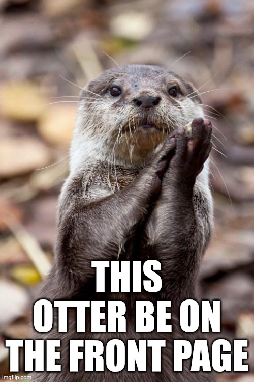 Slow-Clap Otter | THIS OTTER BE ON THE FRONT PAGE | image tagged in slow-clap otter | made w/ Imgflip meme maker