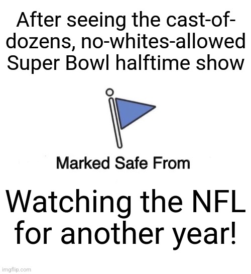 Fitting that they got rid of "End Racism" for the big game | After seeing the cast-of-
dozens, no-whites-allowed
Super Bowl halftime show; Watching the NFL
for another year! | image tagged in memes,marked safe from,super bowl,no whites allowed,halftime show,racism | made w/ Imgflip meme maker