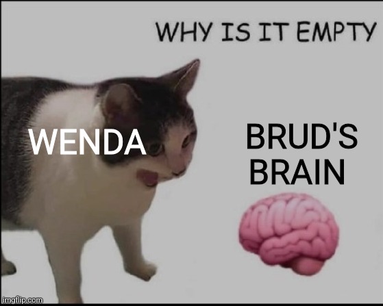 why is it empty? | BRUD'S BRAIN; WENDA | image tagged in why is it empty | made w/ Imgflip meme maker