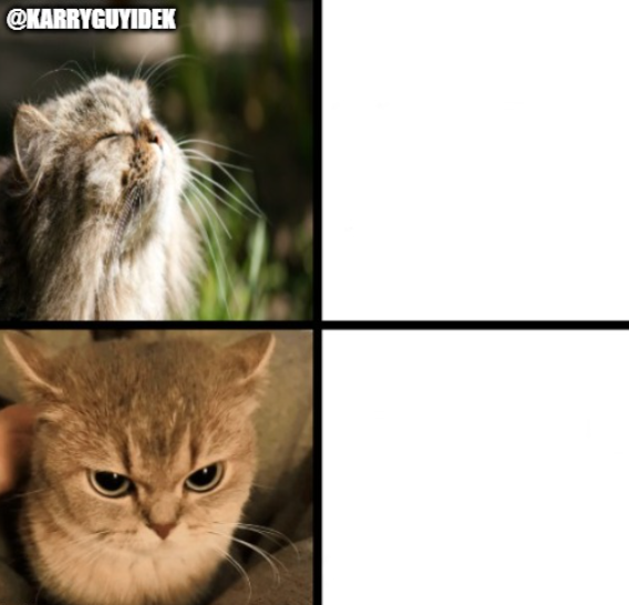 Cat Happy And Cat Sad. (@KARRYGUYIDEK) Blank Meme Template