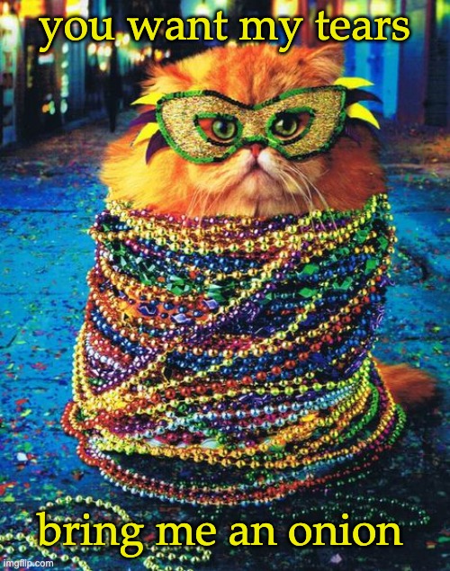 Mardi Gras Cat | you want my tears; bring me an onion | image tagged in mardi gras cat,no tears | made w/ Imgflip meme maker