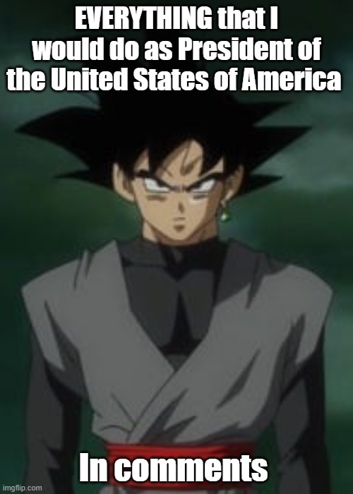 Feel free to ask me about my plans for the Country. | EVERYTHING that I would do as President of the United States of America; In comments | image tagged in goku black questions you | made w/ Imgflip meme maker