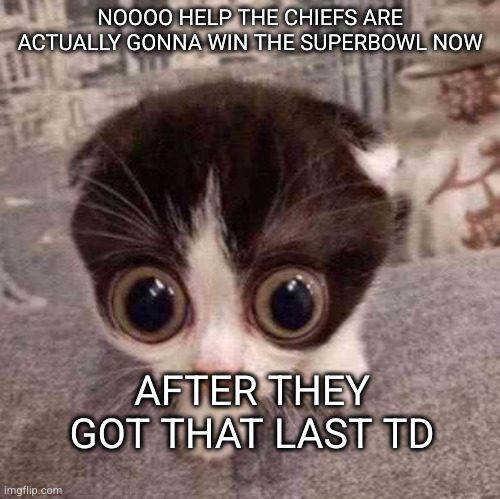 it's written in the stars | NOOOO HELP THE CHIEFS ARE ACTUALLY GONNA WIN THE SUPERBOWL NOW; AFTER THEY GOT THAT LAST TD | image tagged in cat,football,scared,superbowl,chiefs | made w/ Imgflip meme maker