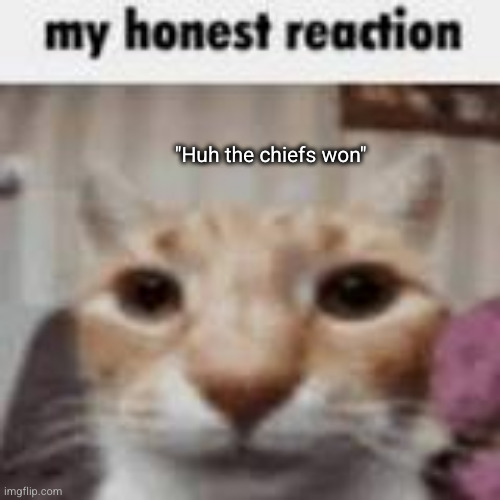 I'm very surprised as you can see | "Huh the chiefs won" | image tagged in my honest reaction,kansas city chiefs,funny,eagles,football,superbowl | made w/ Imgflip meme maker