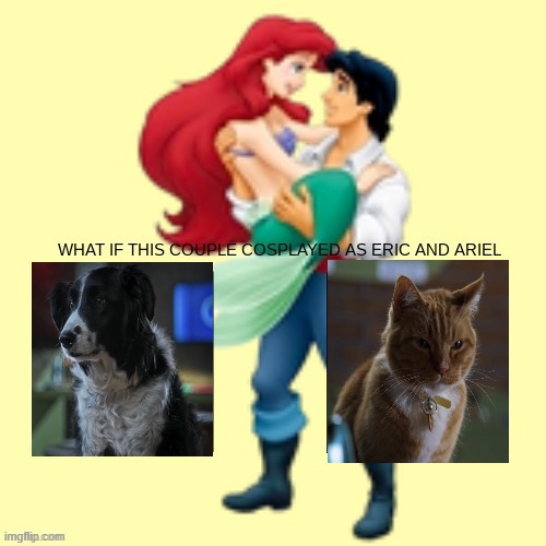 if roger and gwen cosplayed as eric and ariel | image tagged in little mermaid template | made w/ Imgflip meme maker