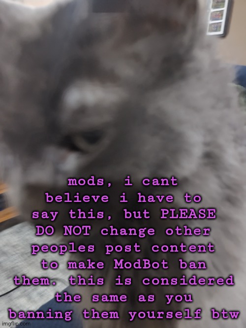 32's Cat | mods, i cant believe i have to say this, but PLEASE DO NOT change other peoples post content to make ModBot ban them. this is considered the same as you banning them yourself btw | image tagged in 32's cat | made w/ Imgflip meme maker