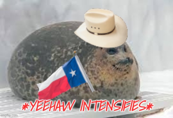 Yeechonk | *YEEHAW INTENSIFIES* | image tagged in yeechonk | made w/ Imgflip meme maker