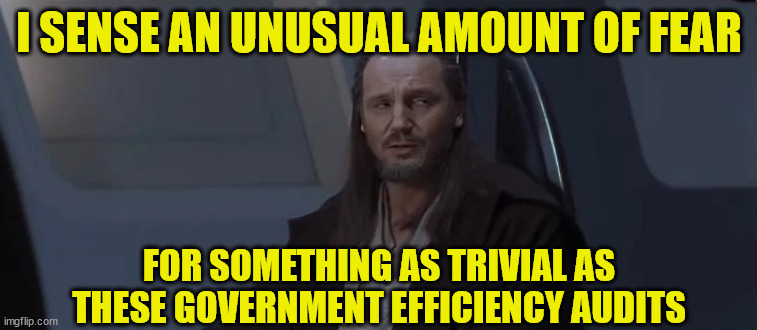 I SENSE AN UNUSUAL AMOUNT OF FEAR; FOR SOMETHING AS TRIVIAL AS THESE GOVERNMENT EFFICIENCY AUDITS | made w/ Imgflip meme maker