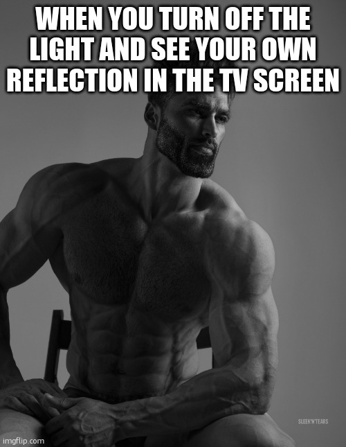 have a good day | WHEN YOU TURN OFF THE LIGHT AND SEE YOUR OWN REFLECTION IN THE TV SCREEN | image tagged in giga chad | made w/ Imgflip meme maker