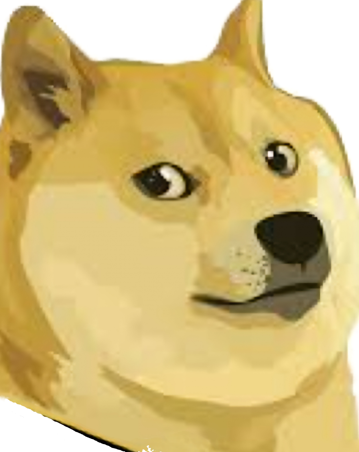 Doge dog Blank Meme Template