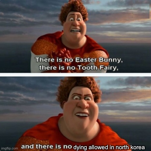 TIGHTEN MEGAMIND "THERE IS NO EASTER BUNNY" | dying allowed in north korea | image tagged in tighten megamind there is no easter bunny | made w/ Imgflip meme maker