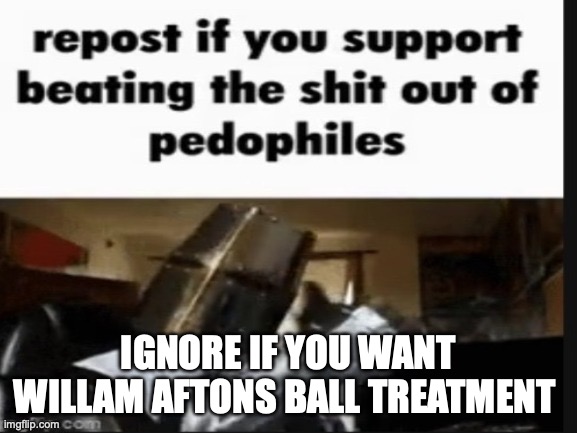 repost if you support beating the shit out of pedophiles | IGNORE IF YOU WANT WILLAM AFTONS BALL TREATMENT | image tagged in repost if you support beating the shit out of pedophiles | made w/ Imgflip meme maker