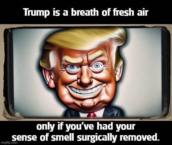 Trump is a breath of fresh air; only if you've had your sense of smell surgically removed. | image tagged in trump,smell | made w/ Imgflip meme maker