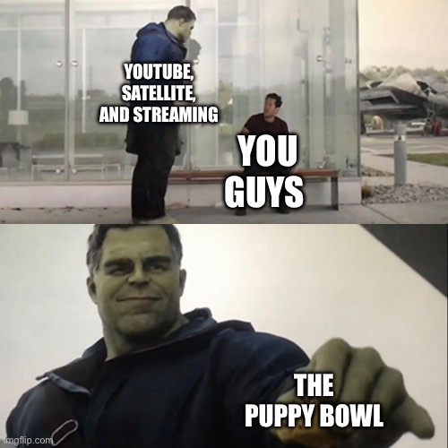 Happy Super Bowl Sunday :) | YOUTUBE, SATELLITE, AND STREAMING; YOU GUYS; THE PUPPY BOWL | image tagged in hulk taco,puppy bowl,super bowl,football,cute,puppy | made w/ Imgflip meme maker