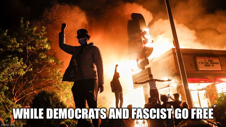 BLM Riots | WHILE DEMOCRATS AND FASCIST GO FREE | image tagged in blm riots | made w/ Imgflip meme maker