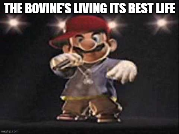 THE BOVINE'S LIVING ITS BEST LIFE | image tagged in gangsta mario | made w/ Imgflip meme maker