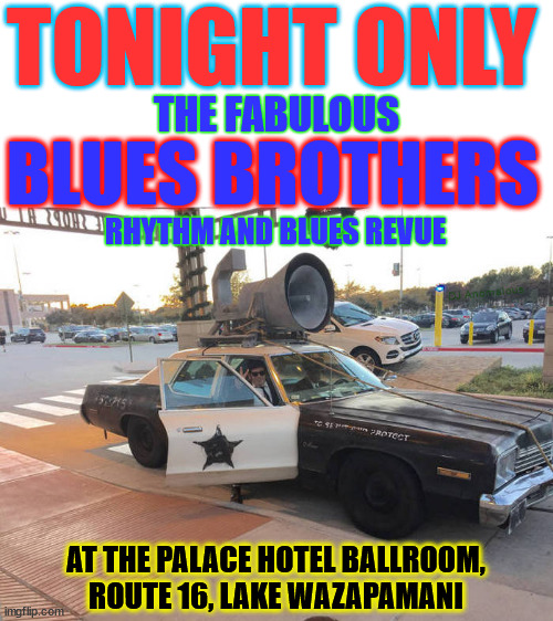 A show worth seeing! | TONIGHT ONLY; THE FABULOUS; BLUES BROTHERS; RHYTHM AND BLUES REVUE; DJ Anomalous; AT THE PALACE HOTEL BALLROOM,
ROUTE 16, LAKE WAZAPAMANI | image tagged in fabulous,blues brothers,music,show,classic movies | made w/ Imgflip meme maker