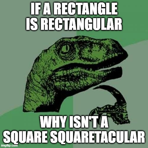 hmmmm | IF A RECTANGLE IS RECTANGULAR; WHY ISN'T A SQUARE SQUARETACULAR | image tagged in memes,philosoraptor,shower thoughts,hold up,how,why | made w/ Imgflip meme maker