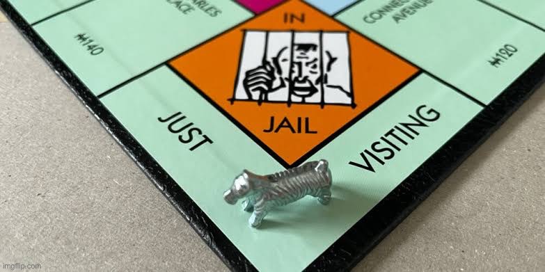 Just visiting | image tagged in visit,monopoly,jail | made w/ Imgflip meme maker