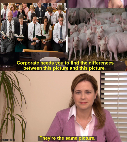 They're The Same Picture | image tagged in memes,they're the same picture,mormons,pigs,what are memes | made w/ Imgflip meme maker