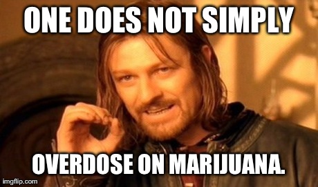 Thought I'd Make it Before Anyone Else Had the Opportunity. | ONE DOES NOT SIMPLY OVERDOSE ON MARIJUANA. | image tagged in memes,one does not simply,politics,political | made w/ Imgflip meme maker