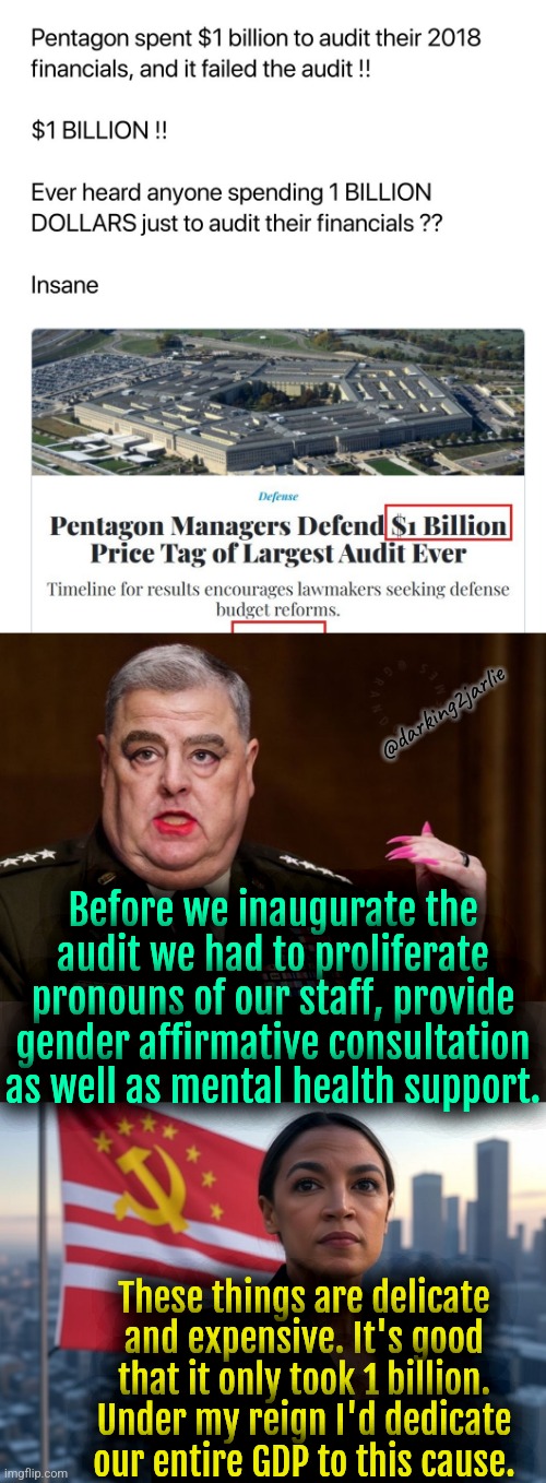 Don't create a ruckus it's just 1 billion. | @darking2jarlie; Before we inaugurate the audit we had to proliferate pronouns of our staff, provide gender affirmative consultation as well as mental health support. These things are delicate and expensive. It's good that it only took 1 billion. Under my reign I'd dedicate our entire GDP to this cause. | image tagged in supreme leader aoc,democrats,liberal logic,america | made w/ Imgflip meme maker