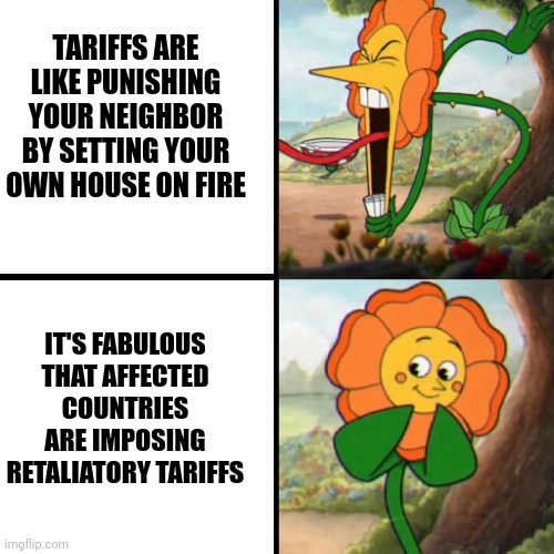 Cuphead Flower | TARIFFS ARE LIKE PUNISHING YOUR NEIGHBOR BY SETTING YOUR OWN HOUSE ON FIRE IT'S FABULOUS THAT AFFECTED COUNTRIES ARE IMPOSING RETALIATORY TA | image tagged in cuphead flower | made w/ Imgflip meme maker