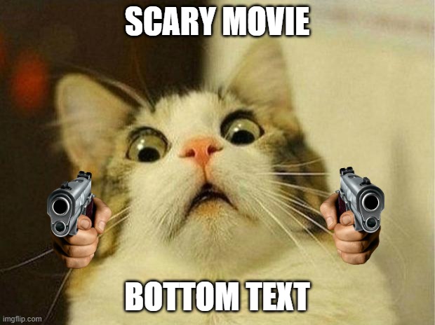 Scared Cat Meme | SCARY MOVIE; BOTTOM TEXT | image tagged in memes,scared cat | made w/ Imgflip meme maker