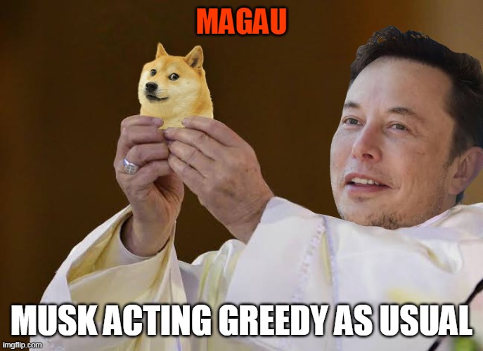 Dogecoin | MAGAU; MUSK ACTING GREEDY AS USUAL | image tagged in dogecoin | made w/ Imgflip meme maker