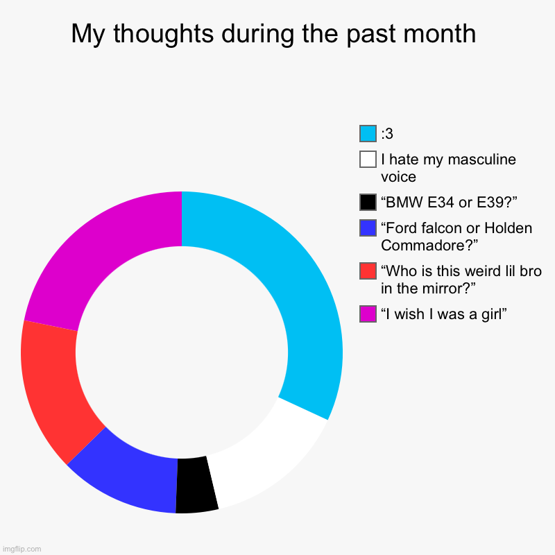 My thoughts lmao | My thoughts during the past month | “I wish I was a girl”, “Who is this weird lil bro in the mirror?”, “Ford falcon or Holden Commadore?”, “ | image tagged in charts,donut charts | made w/ Imgflip chart maker