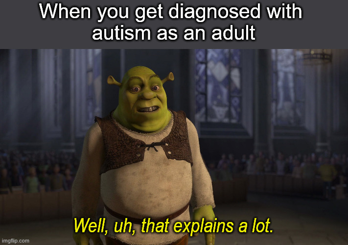 Well, that explains a lot | When you get diagnosed with 
autism as an adult; Well, uh, that explains a lot. | image tagged in shrek | made w/ Imgflip meme maker