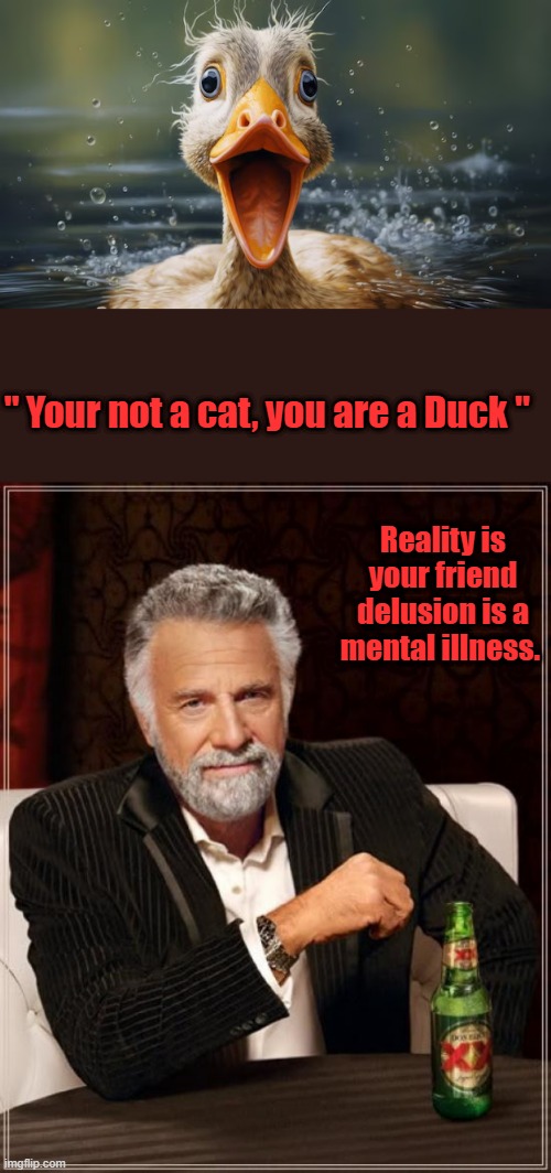 STICKS & STONES 101, if you continue to support delusional people. You end up liveing in a fantasy land. Not a good one. | " Your not a cat, you are a Duck "; Reality is your friend delusion is a mental illness. | image tagged in memes,the most interesting man in the world | made w/ Imgflip meme maker