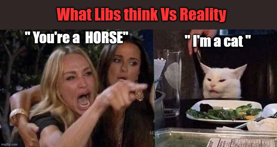 LIB denying reality | " I'm a cat "; What Libs think Vs Reality; " You're a  HORSE" | image tagged in woman yelling at cat | made w/ Imgflip meme maker