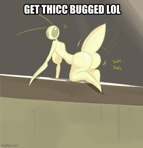 get thicc bugged lol | image tagged in get thicc bugged lol | made w/ Imgflip meme maker