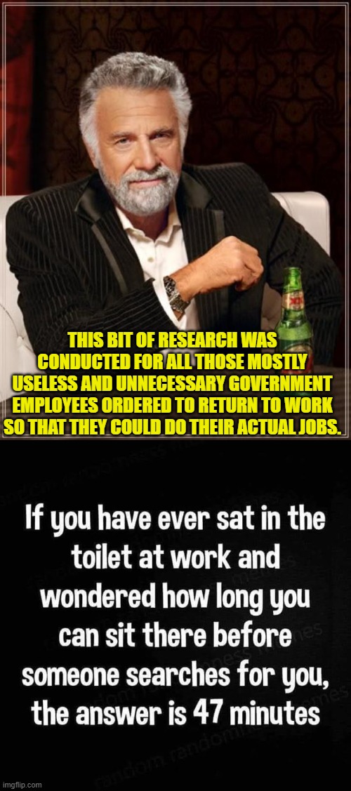 Now you useless DEI hire parasites know. | THIS BIT OF RESEARCH WAS CONDUCTED FOR ALL THOSE MOSTLY USELESS AND UNNECESSARY GOVERNMENT EMPLOYEES ORDERED TO RETURN TO WORK SO THAT THEY COULD DO THEIR ACTUAL JOBS. | image tagged in the most interesting man in the world | made w/ Imgflip meme maker