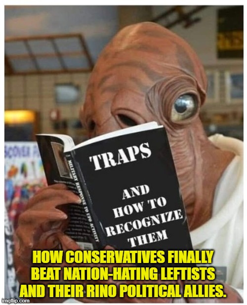 It all makes sense now. | HOW CONSERVATIVES FINALLY BEAT NATION-HATING LEFTISTS AND THEIR RINO POLITICAL ALLIES. | image tagged in yep | made w/ Imgflip meme maker