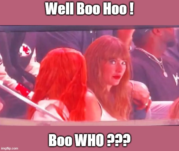 Well Boo Hoo ! Boo WHO ??? | made w/ Imgflip meme maker