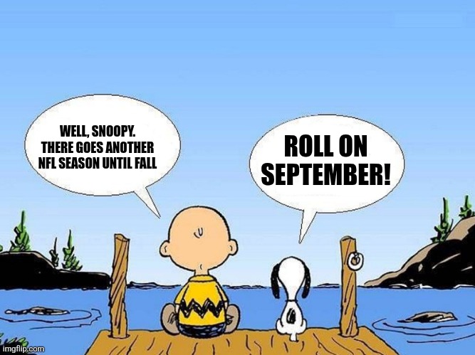 And so...no more nfl until September | WELL, SNOOPY. THERE GOES ANOTHER NFL SEASON UNTIL FALL; ROLL ON SEPTEMBER! | image tagged in snoopy,memes,nfl | made w/ Imgflip meme maker