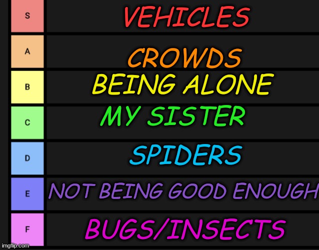 MY TOP FEARS... | VEHICLES; CROWDS; BEING ALONE; MY SISTER; SPIDERS; NOT BEING GOOD ENOUGH; BUGS/INSECTS | image tagged in we don't judge | made w/ Imgflip meme maker