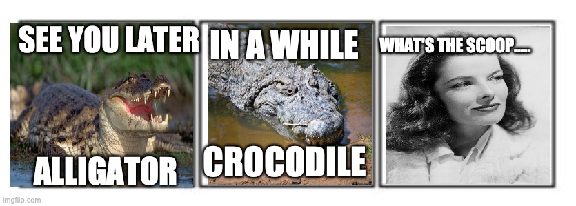 Katharine Hepburn, you old poop! | IN A WHILE; WHAT'S THE SCOOP..... SEE YOU LATER; CROCODILE; ALLIGATOR | image tagged in 3 panel comic strip | made w/ Imgflip meme maker