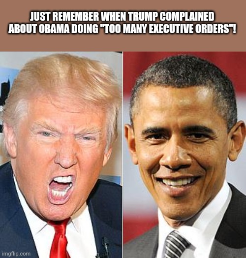 Just remember... | JUST REMEMBER WHEN TRUMP COMPLAINED ABOUT OBAMA DOING "TOO MANY EXECUTIVE ORDERS"! | image tagged in donald trump,trump,obama,maga,nevertrump,nevertrump meme | made w/ Imgflip meme maker