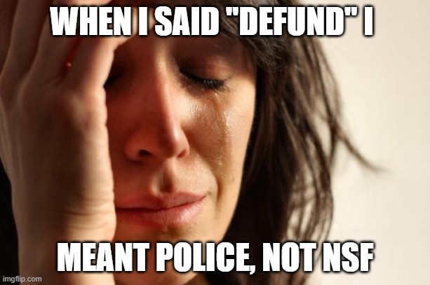 Cry baby liberal regret | WHEN I SAID "DEFUND" I; MEANT POLICE, NOT NSF | image tagged in memes,first world problems | made w/ Imgflip meme maker