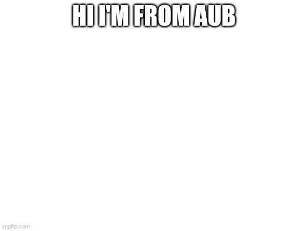 HI I'M FROM AUB | made w/ Imgflip meme maker