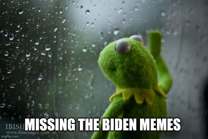 kermit window | MISSING THE BIDEN MEMES | image tagged in kermit window | made w/ Imgflip meme maker