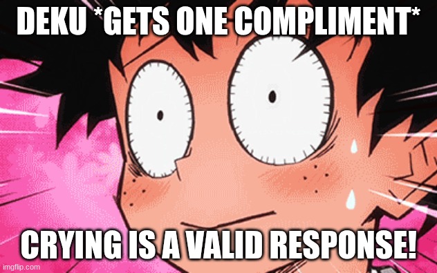 crybaby | DEKU *GETS ONE COMPLIMENT*; CRYING IS A VALID RESPONSE! | image tagged in mha,anime,deku,relatable,funny,memes | made w/ Imgflip meme maker