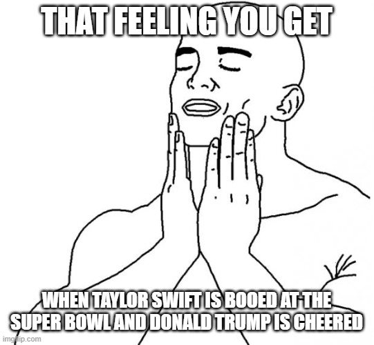 America is great again | THAT FEELING YOU GET; WHEN TAYLOR SWIFT IS BOOED AT THE SUPER BOWL AND DONALD TRUMP IS CHEERED | image tagged in feels good man | made w/ Imgflip meme maker