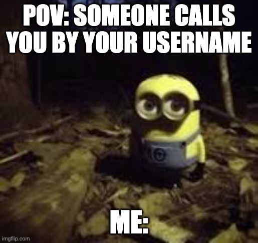 When someone calls you by your username | POV: SOMEONE CALLS YOU BY YOUR USERNAME; ME: | image tagged in minions | made w/ Imgflip meme maker