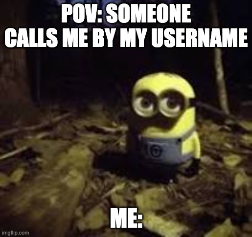 this is one fixed | POV: SOMEONE CALLS ME BY MY USERNAME; ME: | image tagged in minions | made w/ Imgflip meme maker